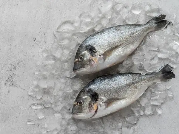 Fresh / Frozen Fish
