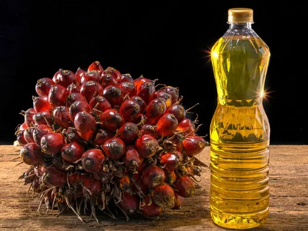 Palm Oil