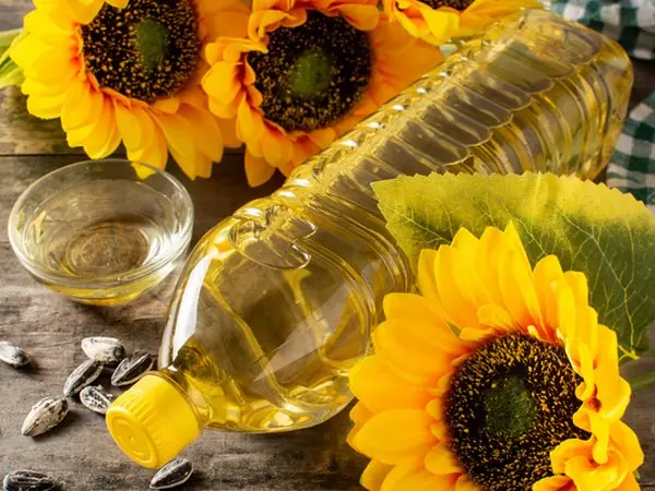 Sunflower Oil